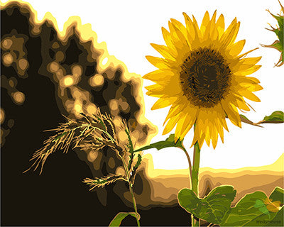 Flower Paint By Numbers Kits UK GX24978