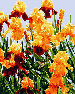 Flower Paint By Numbers Kits UK GX25016