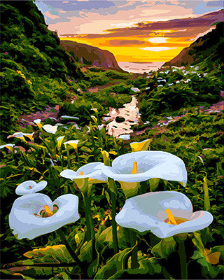 Flower Paint By Numbers Kits UK GX25077