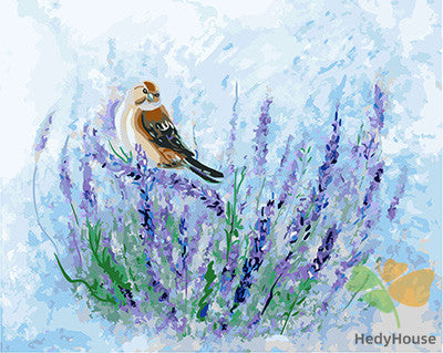 Birds Paint By Numbers Kits UK GX25085