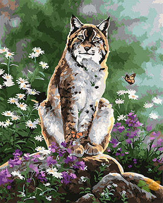 Animal Paint By Numbers Kits UK GX25106