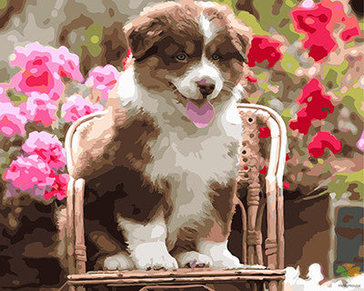 Cat & Dog Paint By Numbers Kits UK GX25137