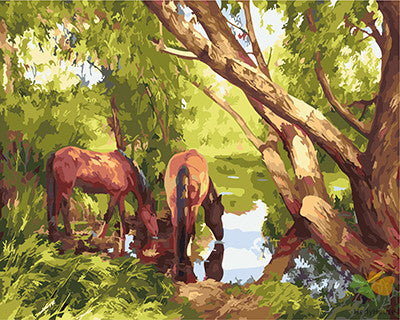 Animal Paint By Numbers Kits UK GX25140