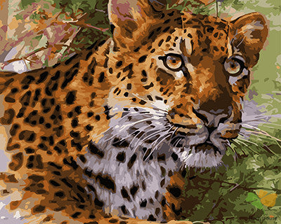 Animal Paint By Numbers Kits UK GX25167