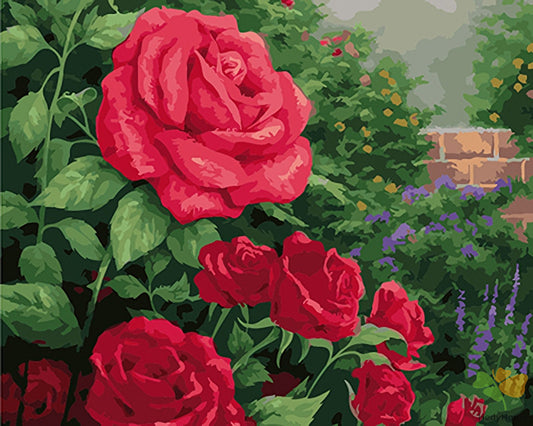 Flower Paint By Numbers Kits UK GX25190