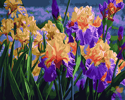 Flower Paint By Numbers Kits UK GX25221