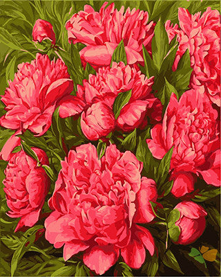 Flower Paint By Numbers Kits UK GX25230