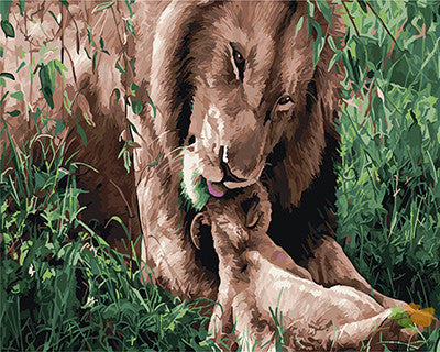 Animal Paint By Numbers Kits UK GX25234