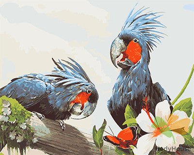 Birds Paint By Numbers Kits UK GX25236