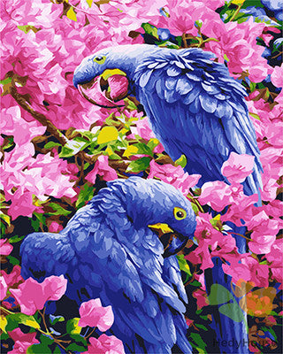 Birds Paint By Numbers Kits UK GX25245