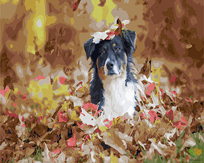 Cat & Dog Paint By Numbers Kits UK GX25247