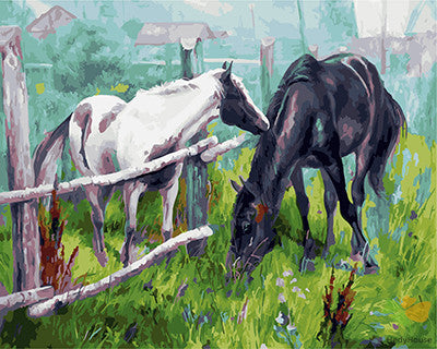 Animal Paint By Numbers Kits UK GX25251