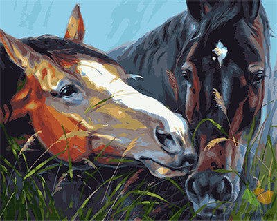 Animal Paint By Numbers Kits UK GX25252