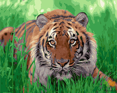 Animal Paint By Numbers Kits UK GX25258