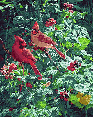 Birds Paint By Numbers Kits UK GX25276