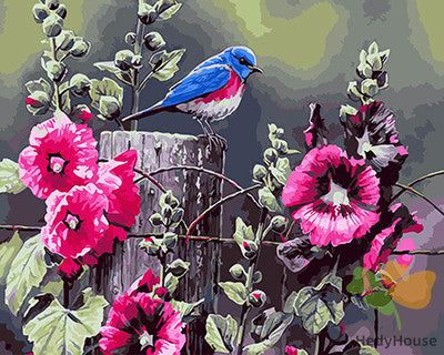 Birds Paint By Numbers Kits UK GX25277