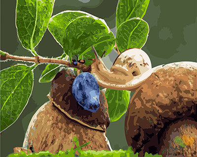 Animal Paint By Numbers Kits UK GX25286