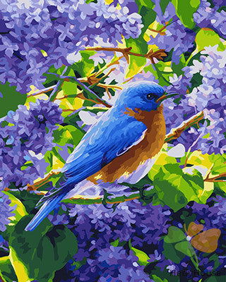 Birds Paint By Numbers Kits UK GX25325