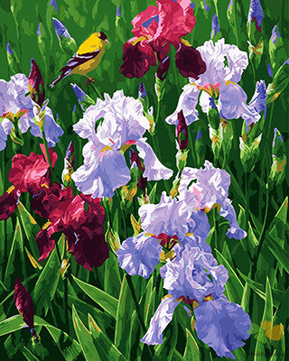 Flower Paint By Numbers Kits UK GX25331