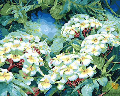 Flower Paint By Numbers Kits UK GX25332