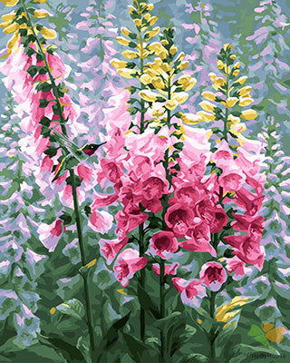 Flower Paint By Numbers Kits UK GX25346