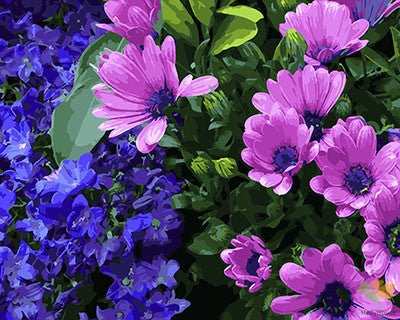 Flower Paint By Numbers Kits UK GX25350