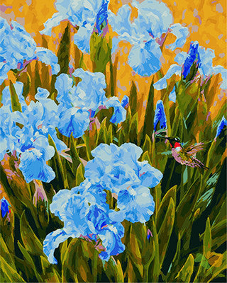 Flower Paint By Numbers Kits UK GX25468