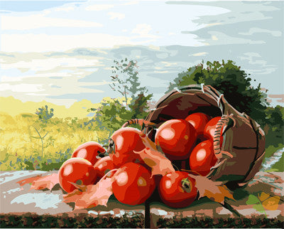 Still Life Paint By Numbers Kits UK GX25486