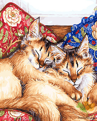 Cat & Dog Paint By Numbers Kits UK GX25561