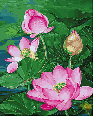 Flower Paint By Numbers Kits UK GX25563