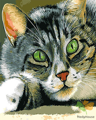 Cat & Dog Paint By Numbers Kits UK GX25564