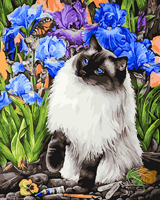 Cat & Dog Paint By Numbers Kits UK GX25572