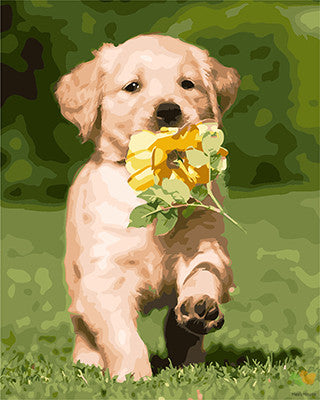 Cat & Dog Paint By Numbers Kits UK GX25580