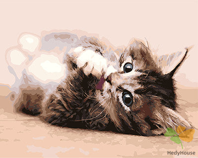 Cat & Dog Paint By Numbers Kits UK GX25602