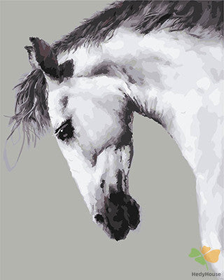 Animal Paint By Numbers Kits UK GX25707