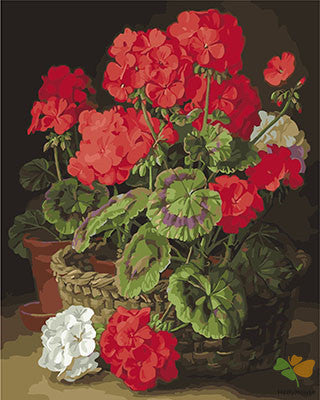 Flower Paint By Numbers Kits UK GX25786