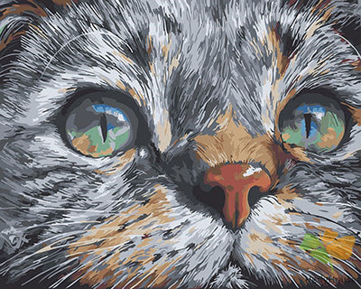 Cat & Dog Paint By Numbers Kits UK GX25799