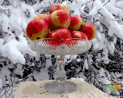 Still Life Paint By Numbers Kits UK GX25819