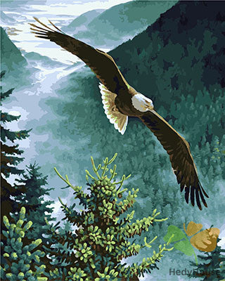 Birds Paint By Numbers Kits UK GX25874