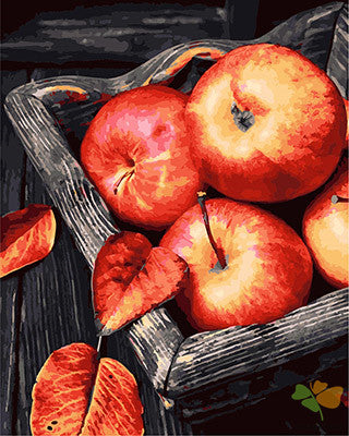 Still Life Paint By Numbers Kits UK GX25890