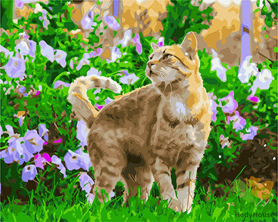 Cat & Dog Paint By Numbers Kits UK GX25911