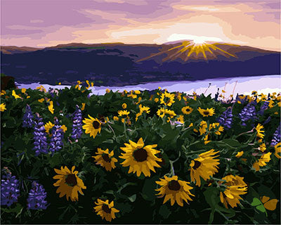 Flower Paint By Numbers Kits UK GX25917