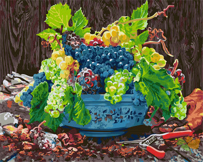 Still Life Paint By Numbers Kits UK GX25942