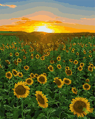 Flower Paint By Numbers Kits UK GX25968