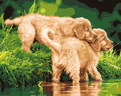 Cat & Dog Paint By Numbers Kits UK GX25992