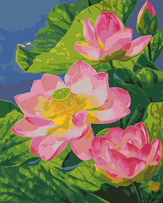 Flower Paint By Numbers Kits UK GX25993