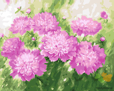 Flower Paint By Numbers Kits UK GX26002