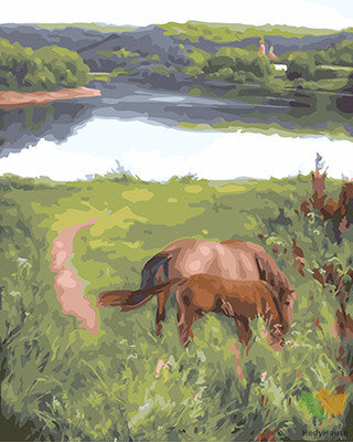 Animal Paint By Numbers Kits UK GX26016