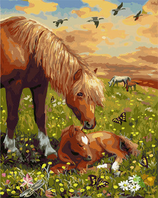 Animal Paint By Numbers Kits UK GX26037