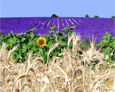 Flower Paint By Numbers Kits UK GX26041